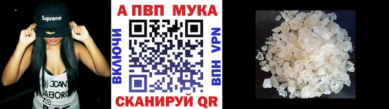 гидра ТОР  Ярославль  Альфа ПВП СК 