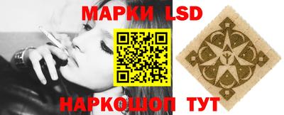 индика Кандалакша