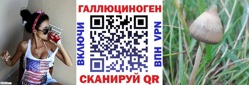 Галлюциногенные грибы GOLDEN TEACHER  OMG   Ярославль  даркнет сайт 