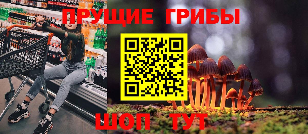 Ярославль  Галлюциногенные грибы Magic Shrooms  Галлюциногенные грибы MAGIC MUSHROOMS  закладка  Вход с VPN 