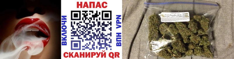 Бошки Шишки AK-47  где купить наркоту  Ярославль 