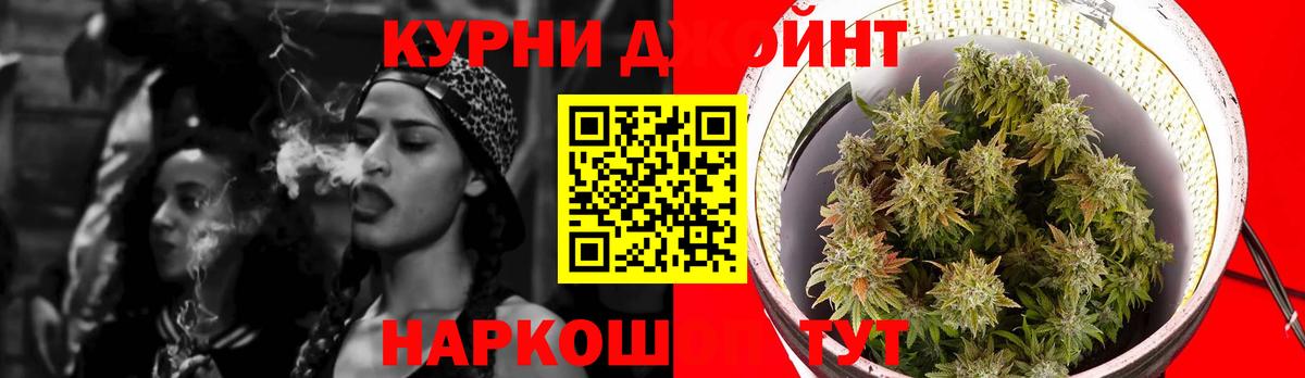 Каннабис планчик  Бошки Шишки Ganja  Ярославль  Канабис VHQ  Вход с VPN 